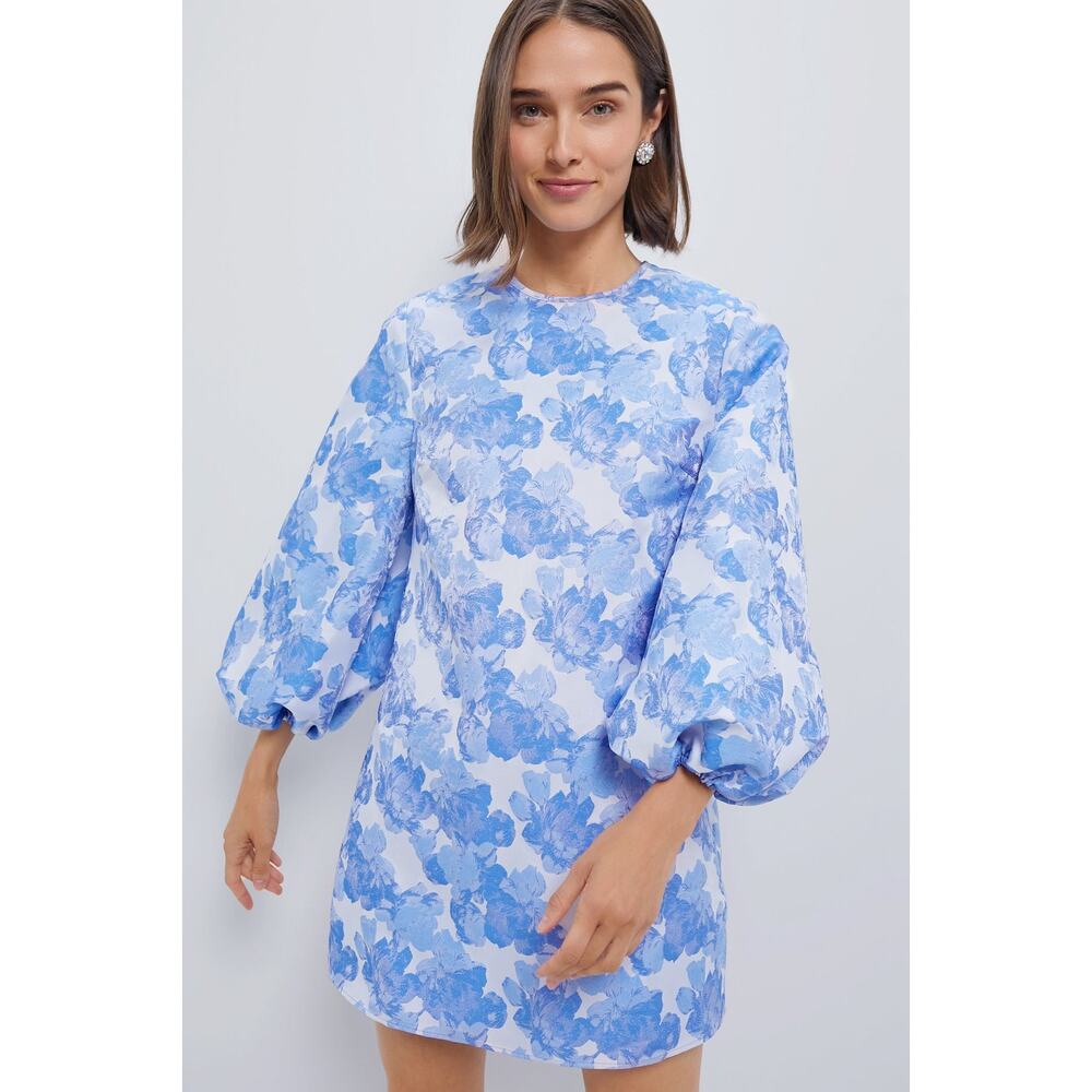 Tuckernuck Blue and White Floral Mini Dress